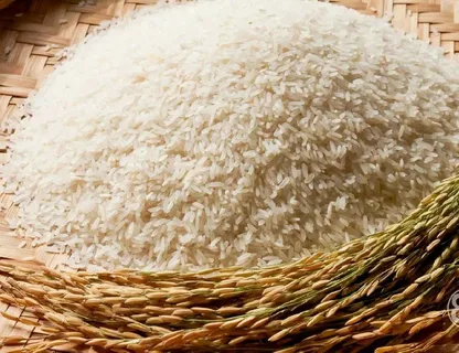 تصویر 3 از قیمت برنج هاشمی پاکستانی با کیفیت ارزان + خرید عمده
